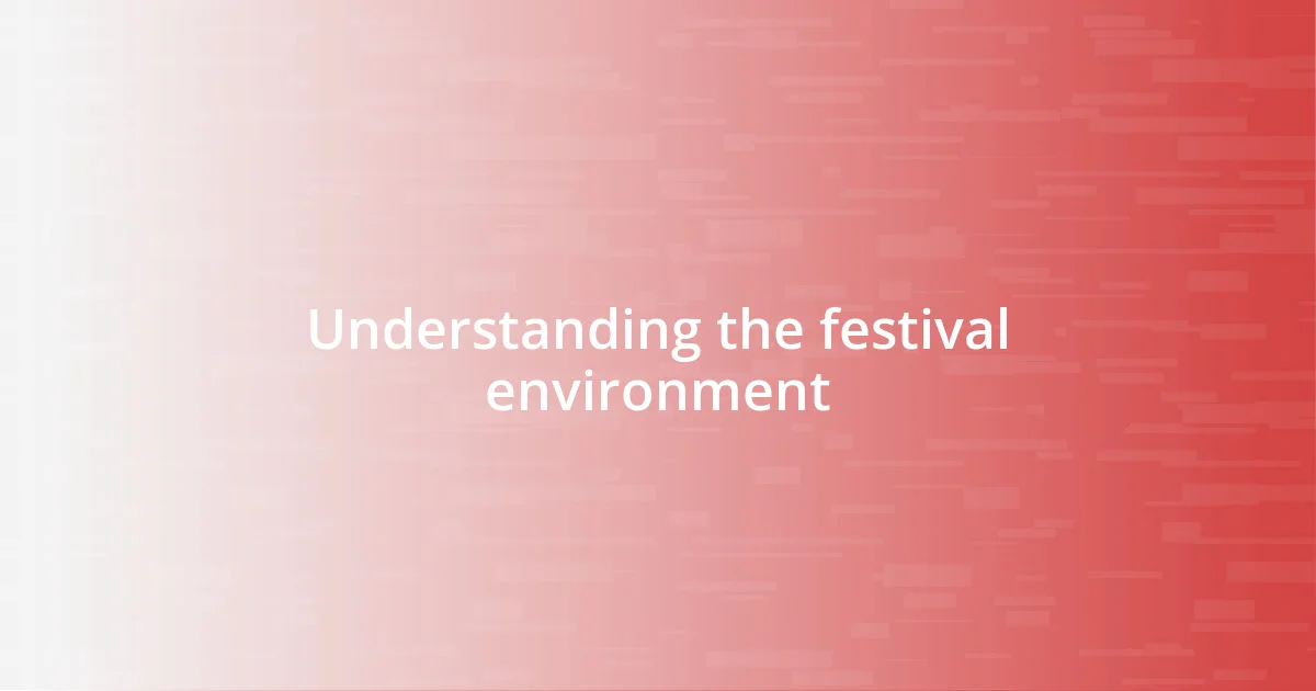 Understanding the festival environment